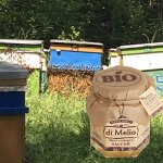 画像2: ルーマニア産有機アカシア蜂蜜 (2)