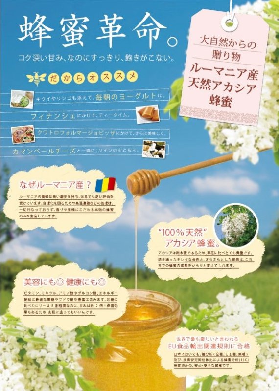 画像2: ルーマニア産アカシア蜂蜜５００ｇ (2)